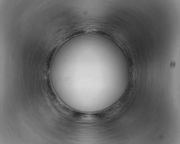X0000114080316200910051006