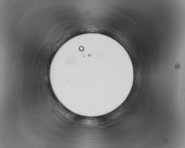 X0000114080317200910051006