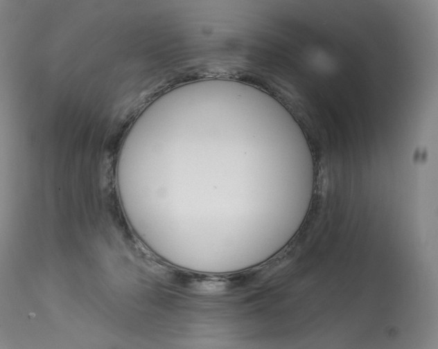 X0000114080318200910051006