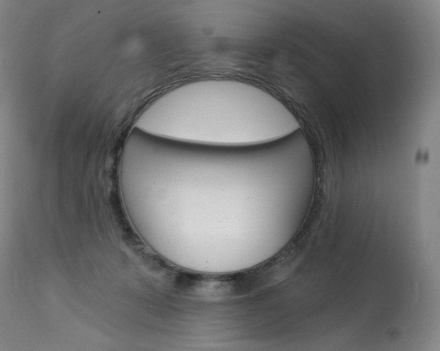 X0000114080319200910051006