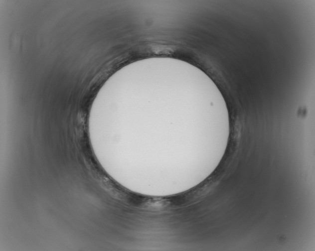X0000114080321200910051006