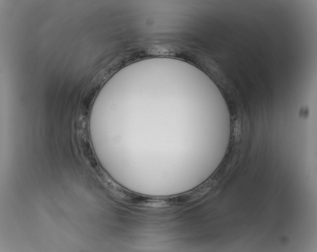 X0000114080322200910051006