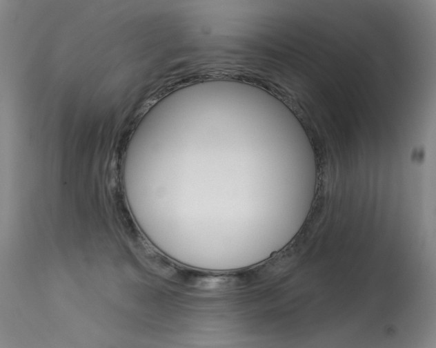 X0000114080323200910051006