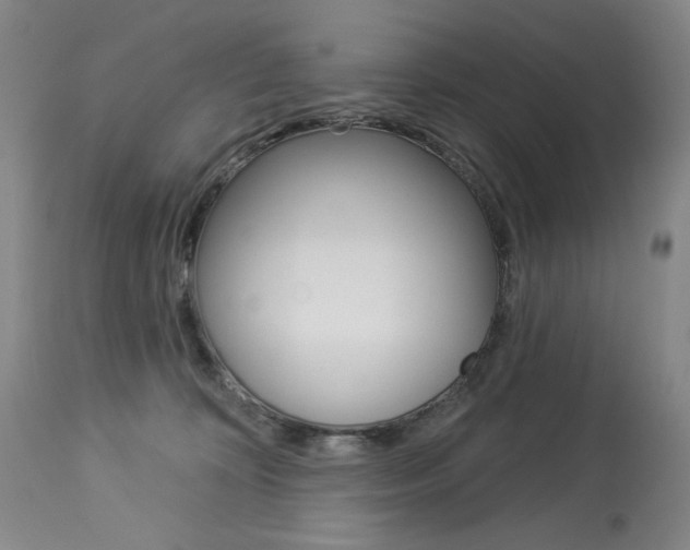 X0000114080324200910051006