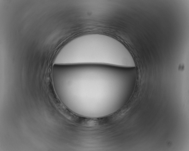 X0000114080325200910051006
