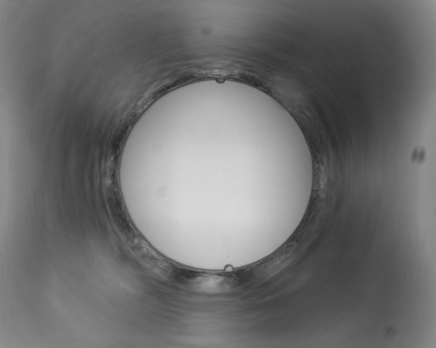 X0000114080326200910051006