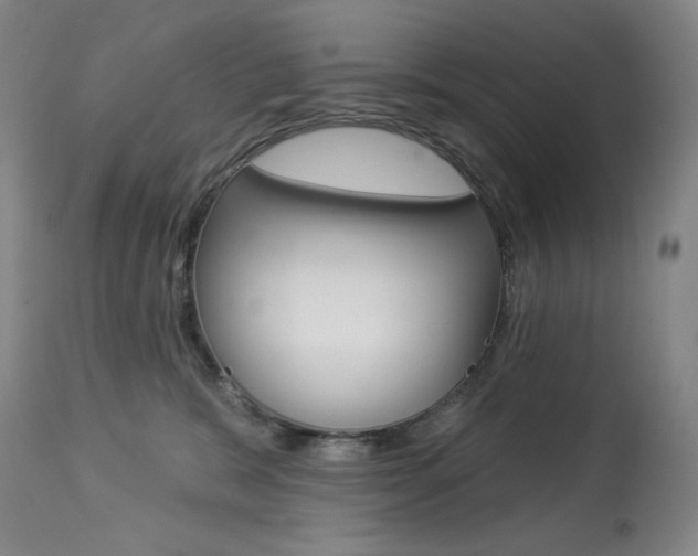 X0000114080327200910051006