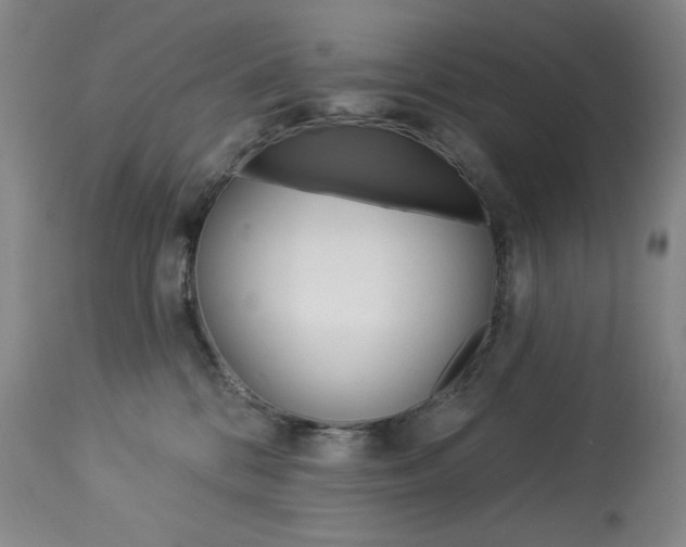 X0000114080328200910051006