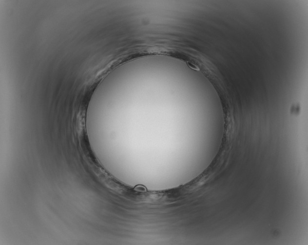 X0000114080329200910051006