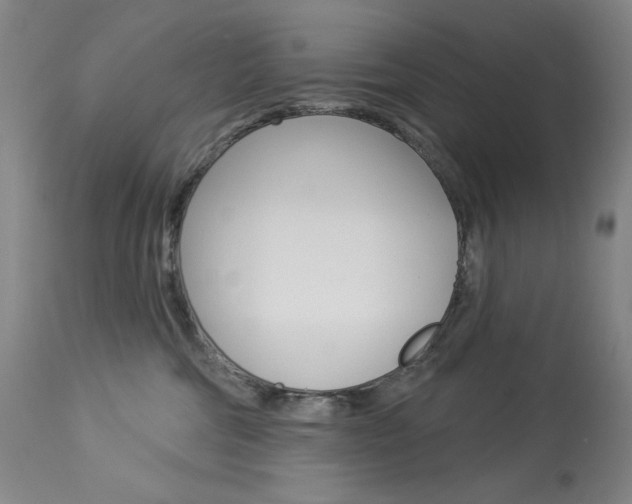 X0000114080330200910051006