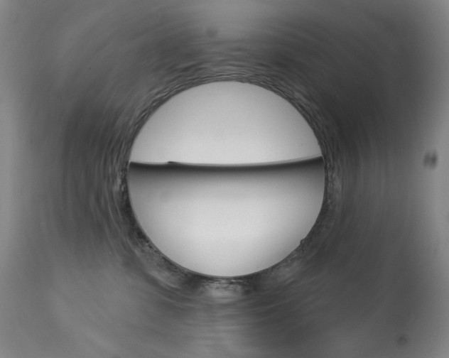 X0000114080331200910051006