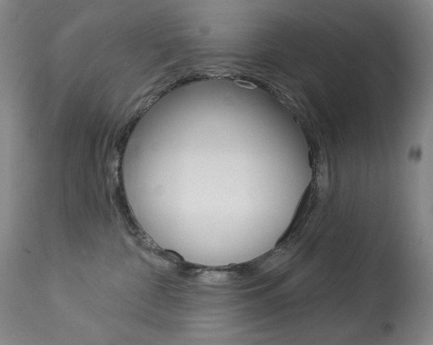 X0000114080332200910051006