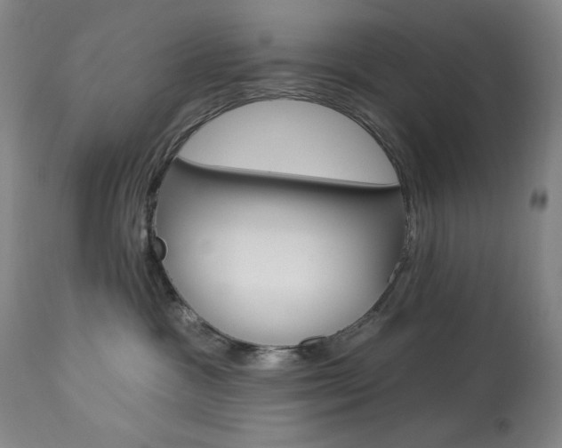 X0000114080333200910051006