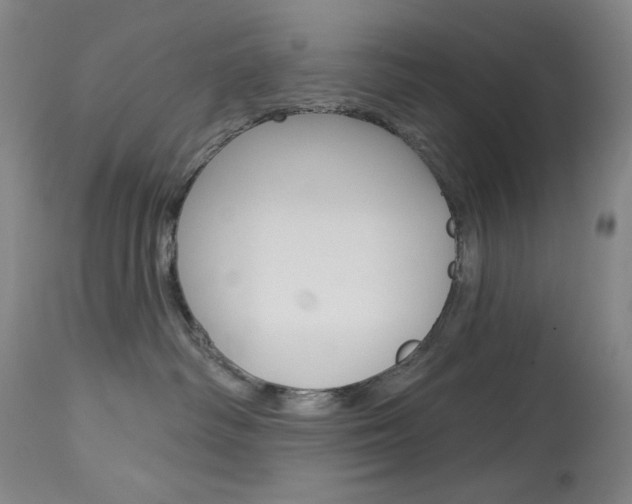 X0000114080334200910051006