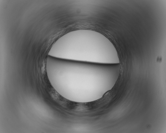 X0000114080335200910051006