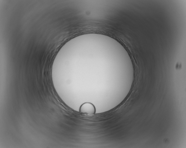 X0000114080336200910051006