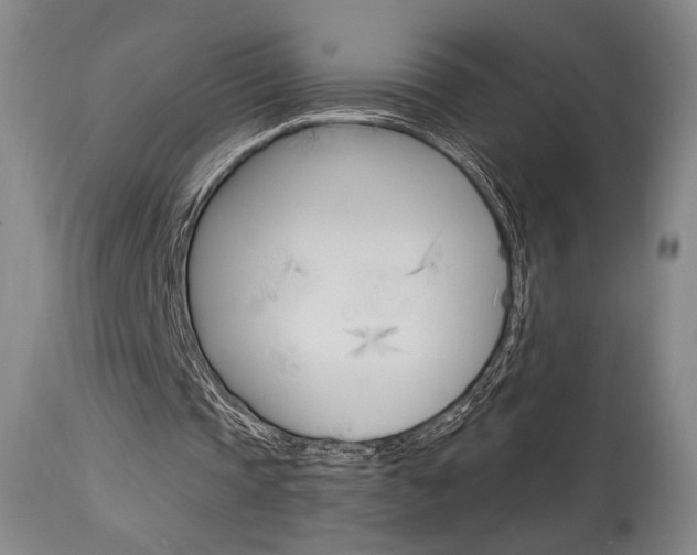 X0000114080337200910051005