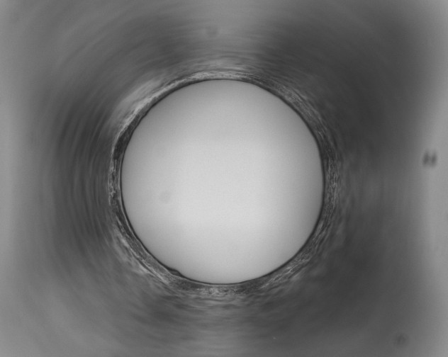 X0000114080338200910051005
