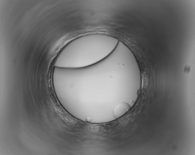 X0000114080339200910051005