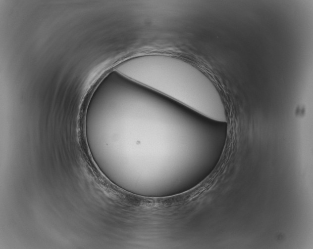X0000114080340200910051005