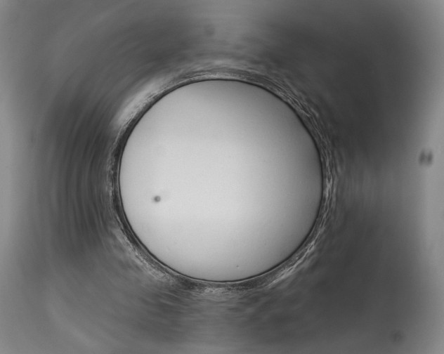 X0000114080341200910051005