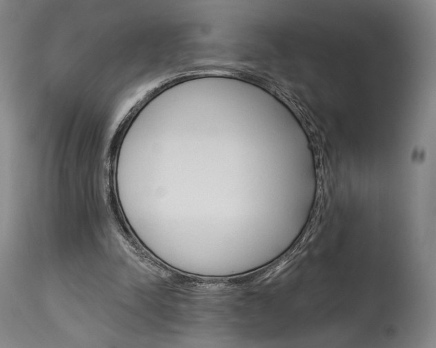 X0000114080342200910051005