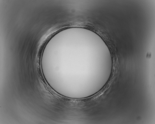 X0000114080343200910051005