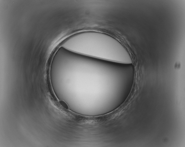X0000114080344200910051005