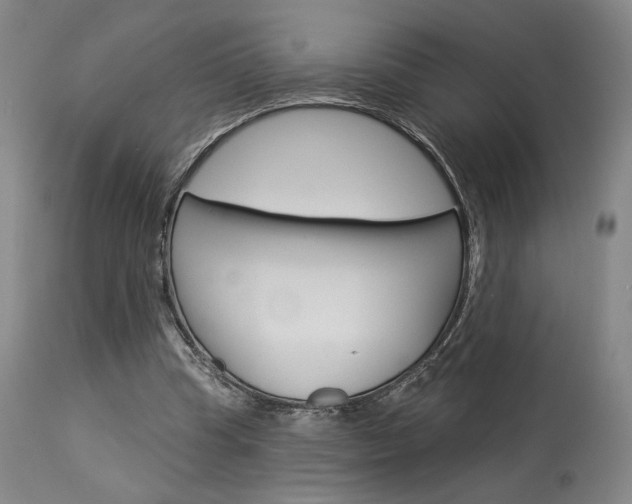 X0000114080345200910051005