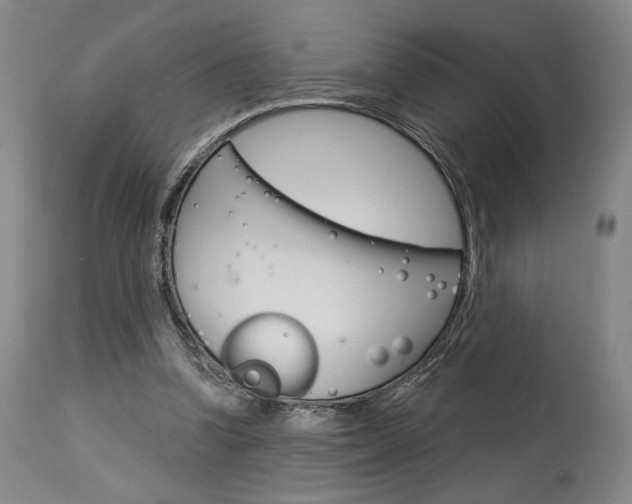 X0000114080346200910051005