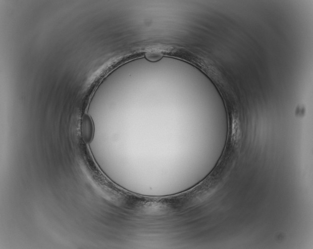 X0000114080348200910051005