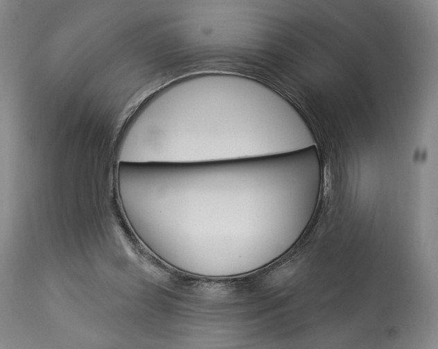 X0000114080349200910051005