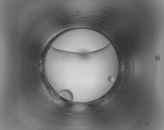 X0000114080351200910051005