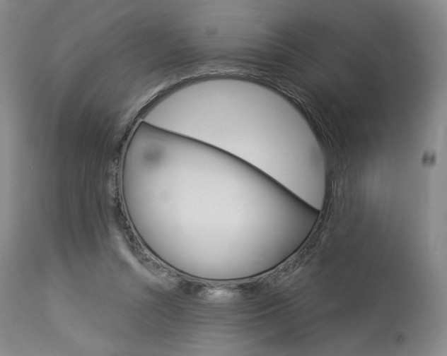 X0000114080352200910051005