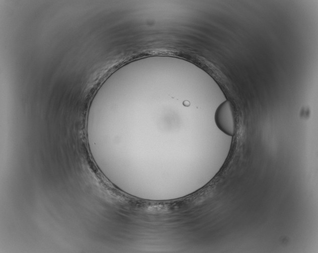 X0000114080353200910051005