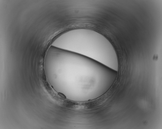 X0000114080356200910051006