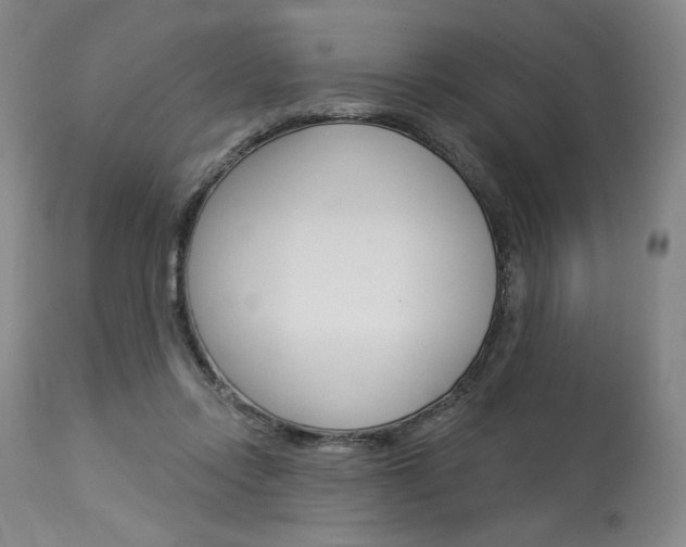 X0000114080358200910051006