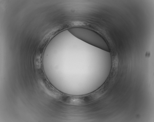 X0000114080360200910051006