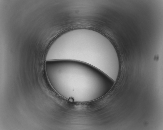 X0000114080362200910051006