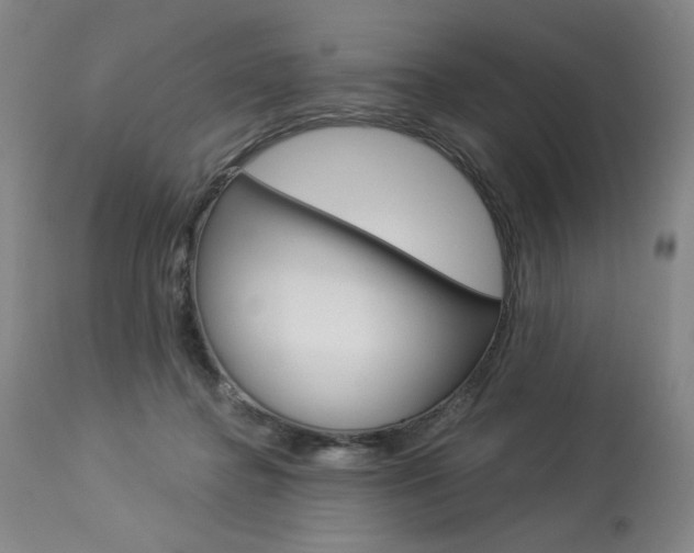X0000114080364200910051006