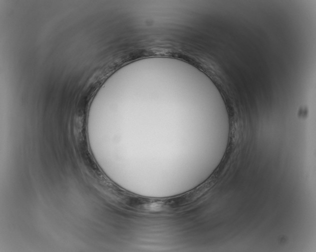 X0000114080365200910051006