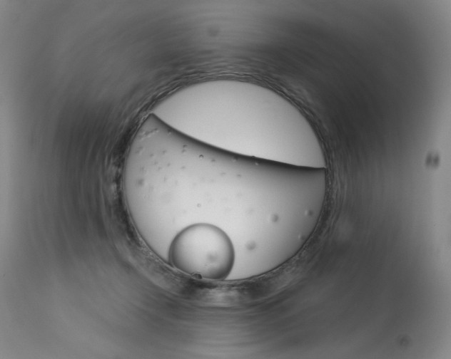 X0000114080366200910051006