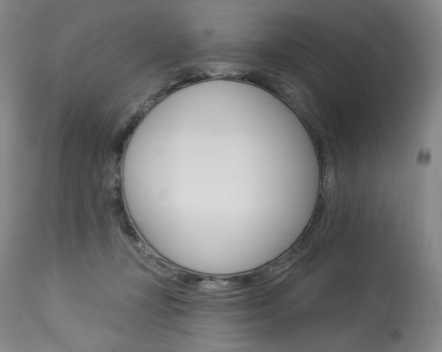 X0000114080367200910051006