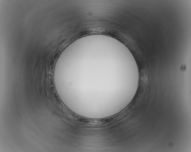 X0000114080369200910051006