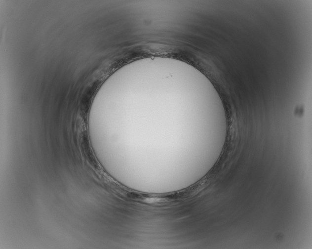 X0000114080371200910051006