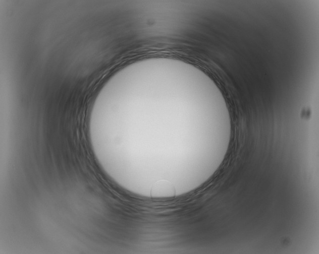 X0000114080372200910051006