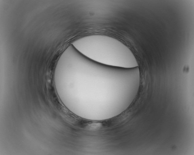 X0000114080374200910051006