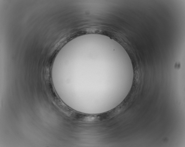 X0000114080375200910051006