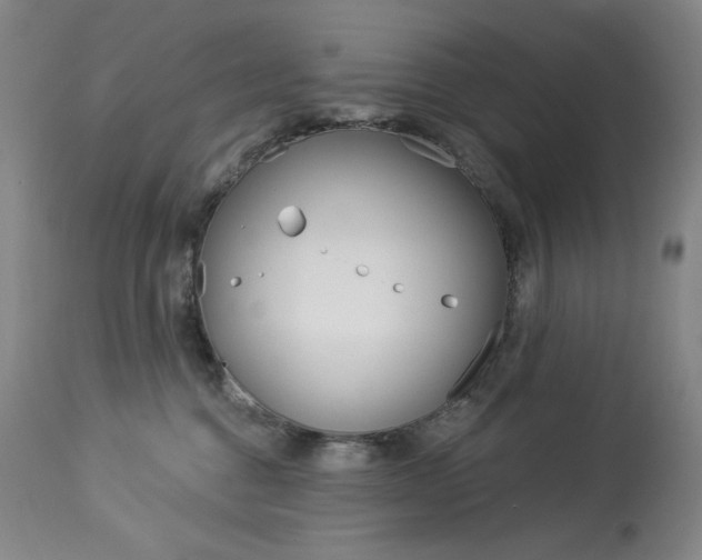 X0000114080376200910051006