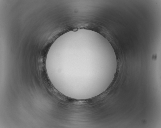 X0000114080378200910051006